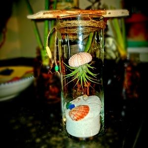 Jellyfish in a jar Seascape